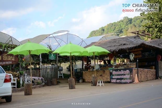 สวนอีเดน - แม่ริม (14)