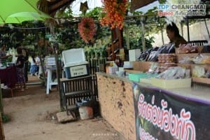 สวนอีเดน - แม่ริม (15)