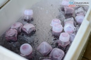 สวนอีเดน - แม่ริม (17)