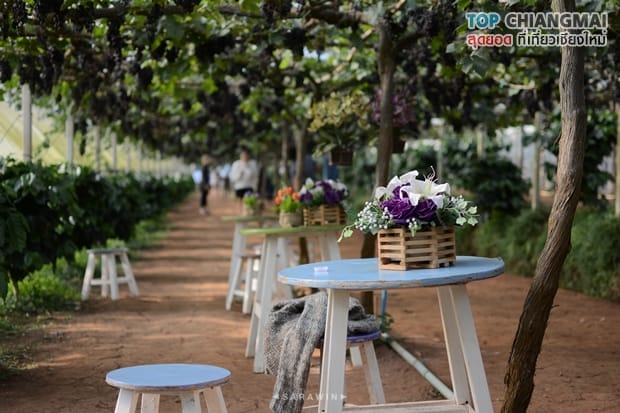 สวนอีเดน - แม่ริม (7)
