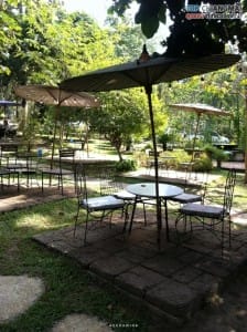 หลงป่า - แม่ริม (12)