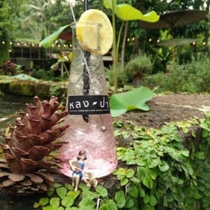หลงป่า - แม่ริม (24)