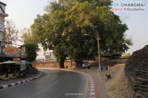 แจ่งศรีภูมิ (1)