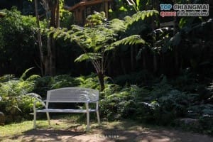 โคตรกานหลวงตีนตก - แม่ออน (10)