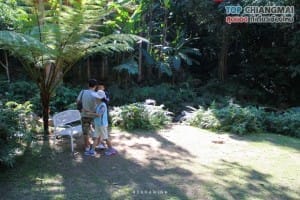 โคตรกานหลวงตีนตก - แม่ออน (11)