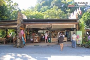 โคตรกานหลวงตีนตก - แม่ออน (2)