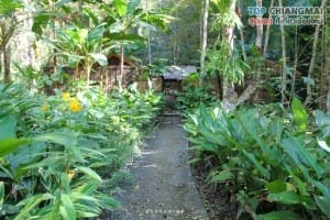 โคตรกานหลวงตีนตก - แม่ออน (20)