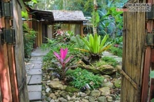 โคตรกานหลวงตีนตก - แม่ออน (21)
