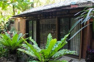 โคตรกานหลวงตีนตก - แม่ออน (23)