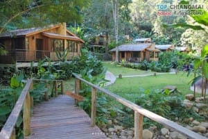 โคตรกานหลวงตีนตก - แม่ออน (27)