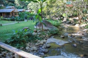โคตรกานหลวงตีนตก - แม่ออน (28)