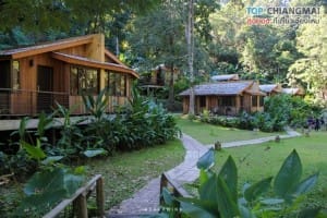 โคตรกานหลวงตีนตก - แม่ออน (29)