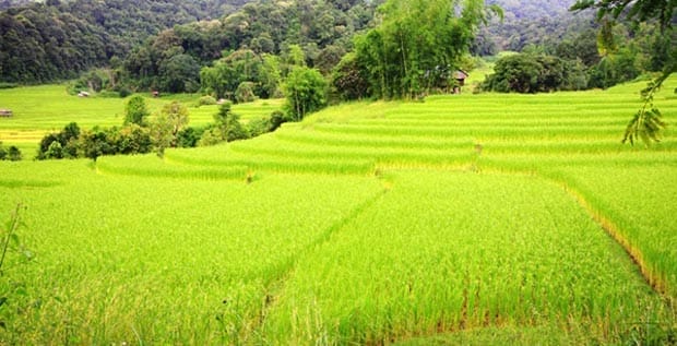 maeklangluang_07