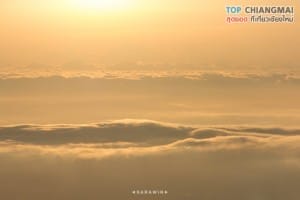 จุดชมวิวดอยอ่างขาง - จุดชมวิวม่อนสน - ดอยอ่างของ (46)