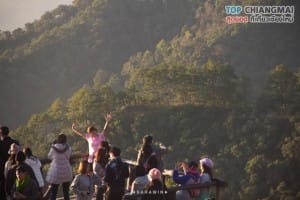 จุดชมวิวดอยอ่างขาง - จุดชมวิวม่อนสน - ดอยอ่างของ (50)
