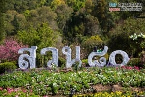 สถานีเกษตรดอยอ่างขาง (46)