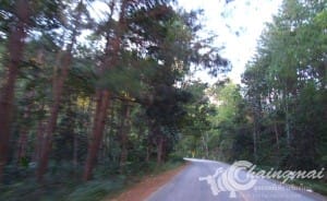 ห้วยน้ำดัง (3)