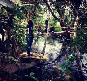 อุ่มเอิบ coffee บ้านแม่กลางหลวง (27)