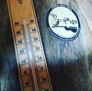 อุ่มเอิบ coffee บ้านแม่กลางหลวง (32)
