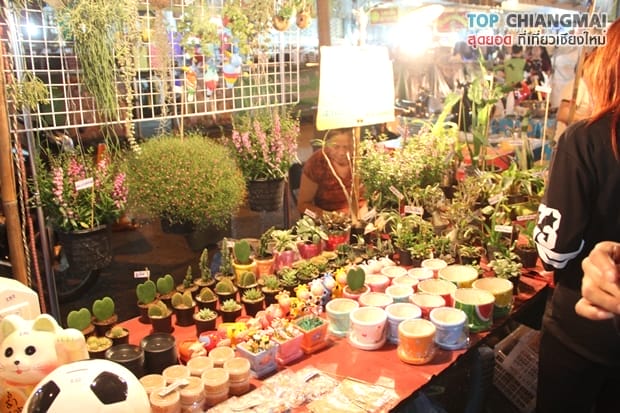 กาดหลวง (กลางคืน) (45)