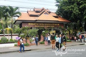 งานไม้ดอก2559 (2)