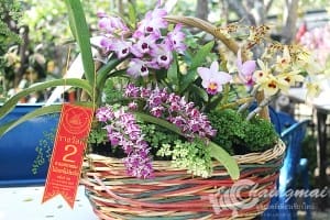 งานไม้ดอก2559 (62)