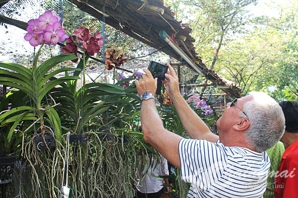 งานไม้ดอก2559 (70)