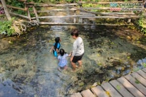 น้ำตกบัวตอง - น้ำพุเจ็ดสี (18)