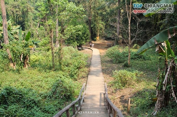 น้ำตกบัวตอง - น้ำพุเจ็ดสี (23)