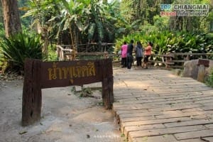 น้ำตกบัวตอง - น้ำพุเจ็ดสี (25)