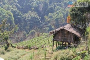 บ้านขอบด้ง (9)