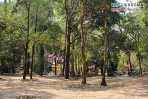 วัดถ้ำตับเตา (125)