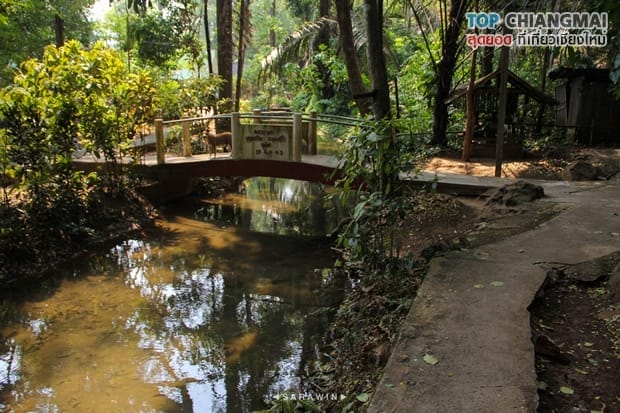 วัดถ้ำตับเตา (131)