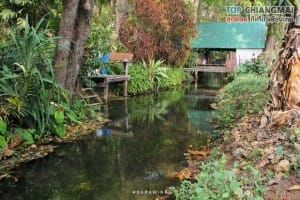 วัดถ้ำตับเตา (146)