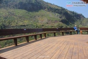ไร่ชา 2000 (16)