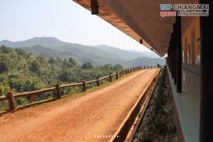 ไร่ชา 2000 (6)