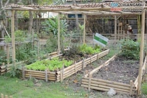 บ้านข้างวัด (41)