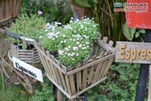 บ้านข้างวัด (50)