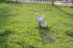 บ้านข้างวัด (60)