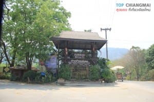 ปางช้างแม่แตง (1)