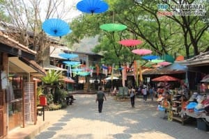 ปางช้างแม่แตง (10)
