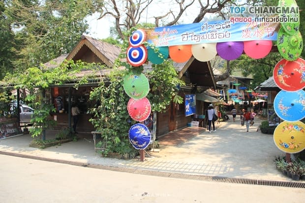 ปางช้างแม่แตง (5)