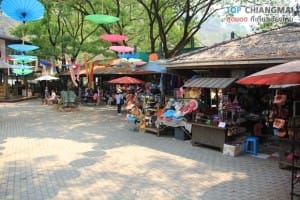 ปางช้างแม่แตง (7)