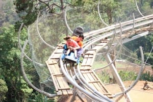 รถไฟรางไม้-Jungle-Coaster-2 (1)