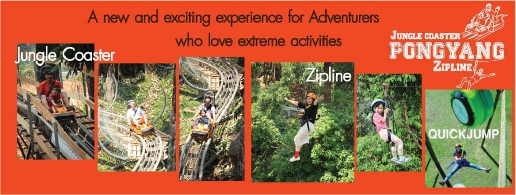รถไฟรางไม้-Jungle-Coaster-2 (4)