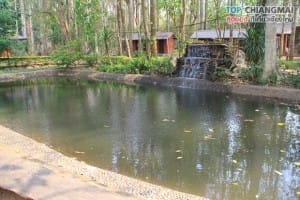 วัดถ้ำดอยโตน (3)