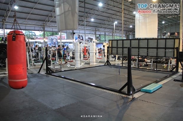 GO GYM (19)