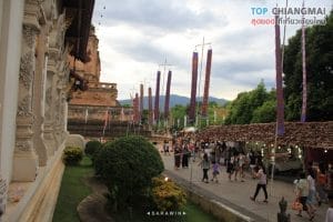 IMG_0599