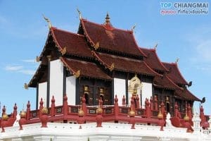 ราชพฤก10