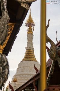 วัดมหาวัน9